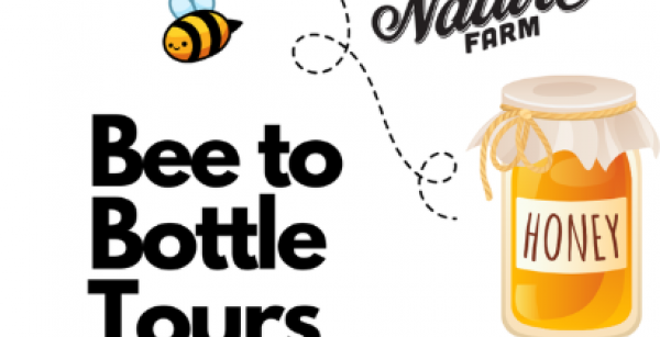 Bee to Bottle Tours