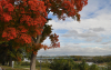 North Esplanade Park's sidewalk overlooks the Missouri River and Centennial Bridge.