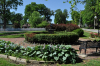 Fountain and hostas at Union Park